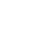 Borroughs Material Handling System Integrator Icon Reversed